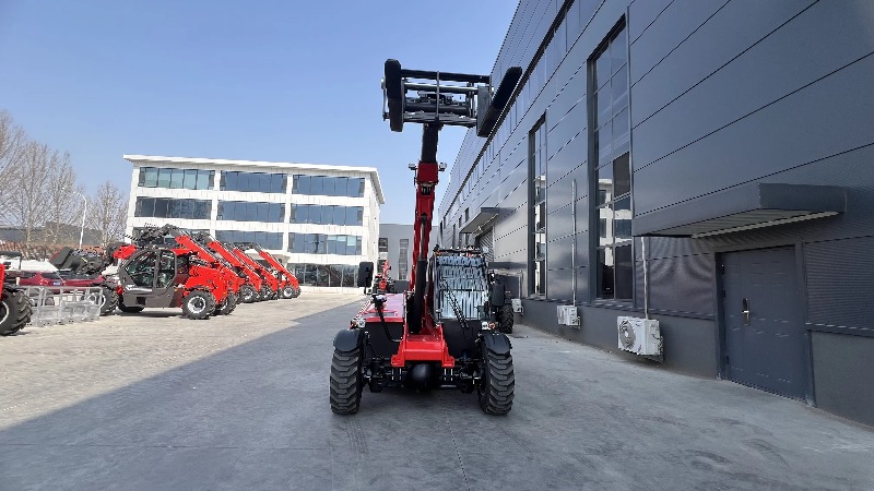 Maßgeschneiderter Mini-Diesel- – Telescopic Handler Boom Bewertung und Preis